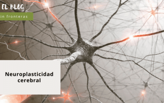 conexiones neuronales